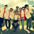 Agapornis&Dvicio
