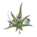 Nateki&WEEDMANE&Suicideyear