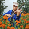 福涛