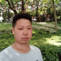 北街听风的猫