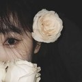 婉清
