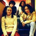 紫环乐队