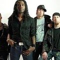 Alston&Ozone