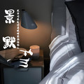 景默Ehco