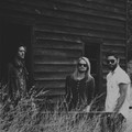 Grizfolk