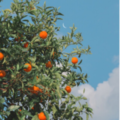 小_孙