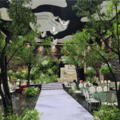 谷自伟