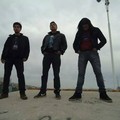 Avenida XxX&Pollo&Evasor