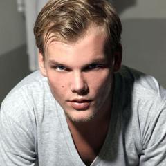 you make me(avicii by avicii)