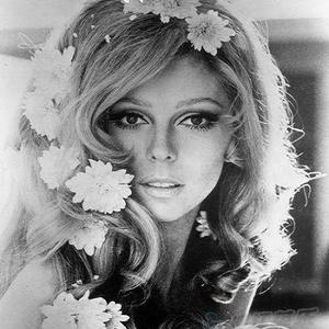 arkansas coal (suite)_nancy sinatra_单曲在线试听