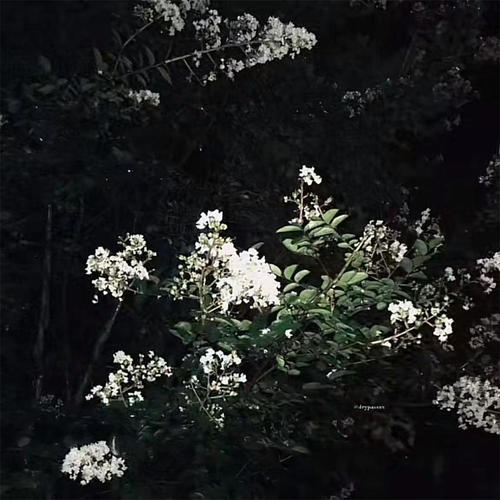 再等一等资料,再等一等最新歌曲,再等一等MV视频,再等一等音乐专辑,再等一等好听的歌
