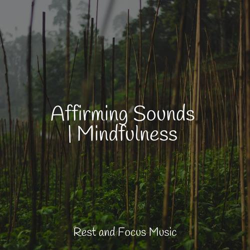 Massage Tribe资料,Massage Tribe最新歌曲,Massage TribeMV视频,Massage Tribe音乐专辑,Massage Tribe好听的歌