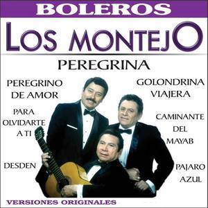 Los Montejo资料,Los Montejo最新歌曲,Los MontejoMV视频,Los Montejo音乐专辑,Los Montejo好听的歌