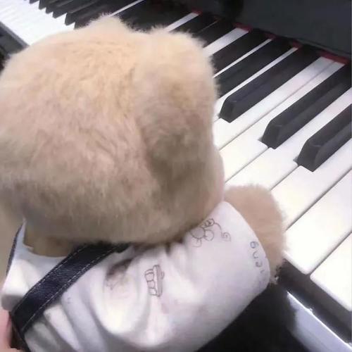 图努克资料,图努克最新歌曲,图努克MV视频,图努克音乐专辑,图努克好听的歌