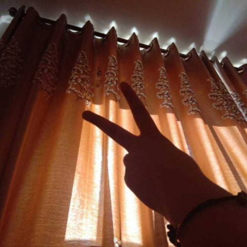 哦耶耶资料,哦耶耶最新歌曲,哦耶耶MV视频,哦耶耶音乐专辑,哦耶耶好听的歌
