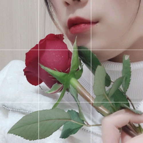 川゛菜本菜资料,川゛菜本菜最新歌曲,川゛菜本菜MV视频,川゛菜本菜音乐专辑,川゛菜本菜好听的歌