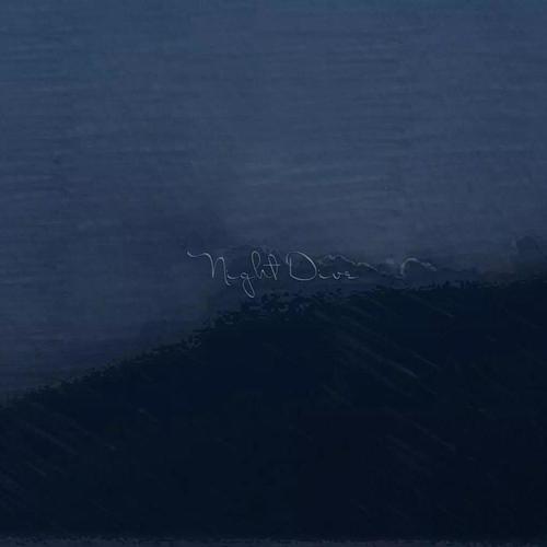 Night Dive资料,Night Dive最新歌曲,Night DiveMV视频,Night Dive音乐专辑,Night Dive好听的歌