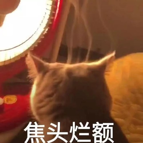 Shawn资料,Shawn最新歌曲,ShawnMV视频,Shawn音乐专辑,Shawn好听的歌