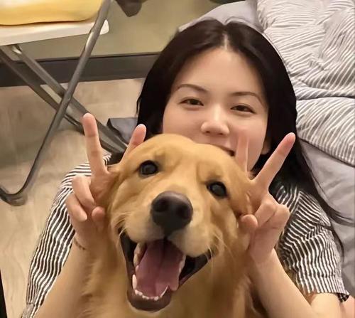 苦茶Son资料,苦茶Son最新歌曲,苦茶SonMV视频,苦茶Son音乐专辑,苦茶Son好听的歌
