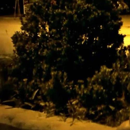 KenHC资料,KenHC最新歌曲,KenHCMV视频,KenHC音乐专辑,KenHC好听的歌