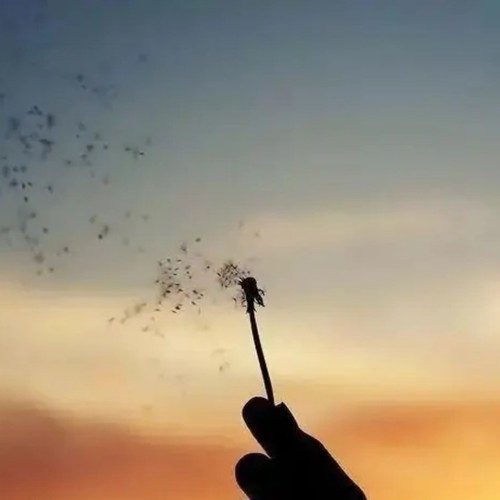 派R的平方资料,派R的平方最新歌曲,派R的平方MV视频,派R的平方音乐专辑,派R的平方好听的歌
