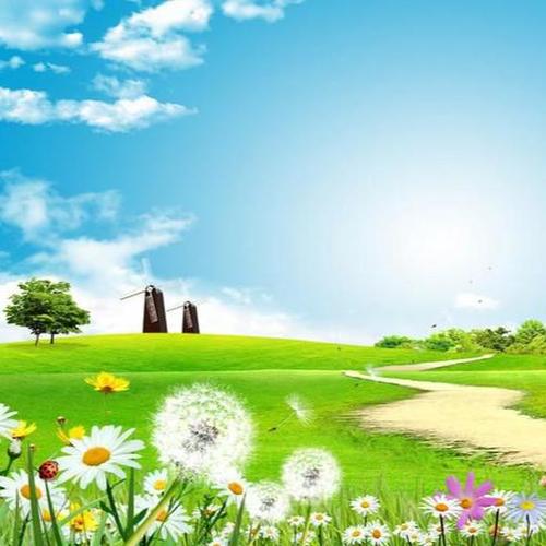 思念有品人生资料,思念有品人生最新歌曲,思念有品人生MV视频,思念有品人生音乐专辑,思念有品人生好听的歌