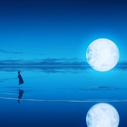 木头资料,木头最新歌曲,木头MV视频,木头音乐专辑,木头好听的歌