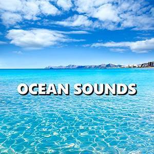 Ocean Sounds资料,Ocean Sounds最新歌曲,Ocean SoundsMV视频,Ocean Sounds音乐专辑,Ocean Sounds好听的歌