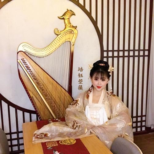 培钰箜篌资料,培钰箜篌最新歌曲,培钰箜篌MV视频,培钰箜篌音乐专辑,培钰箜篌好听的歌