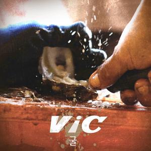 VIC资料,VIC最新歌曲,VICMV视频,VIC音乐专辑,VIC好听的歌