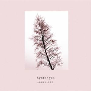 Hydrangea资料,Hydrangea最新歌曲,HydrangeaMV视频,Hydrangea音乐专辑,Hydrangea好听的歌