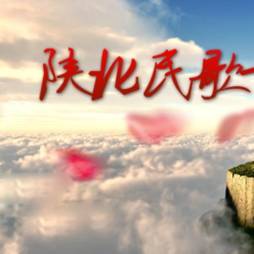 张蔚资料,张蔚最新歌曲,张蔚MV视频,张蔚音乐专辑,张蔚好听的歌