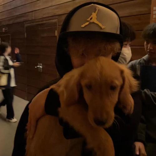 LilJee小吉资料,LilJee小吉最新歌曲,LilJee小吉MV视频,LilJee小吉音乐专辑,LilJee小吉好听的歌