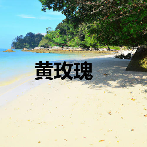 黄玫瑰资料,黄玫瑰最新歌曲,黄玫瑰MV视频,黄玫瑰音乐专辑,黄玫瑰好听的歌