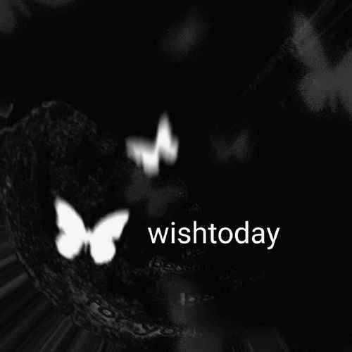 wishtoday资料,wishtoday最新歌曲,wishtodayMV视频,wishtoday音乐专辑,wishtoday好听的歌