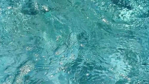 K1111资料,K1111最新歌曲,K1111MV视频,K1111音乐专辑,K1111好听的歌