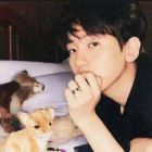 Feelings资料,Feelings最新歌曲,FeelingsMV视频,Feelings音乐专辑,Feelings好听的歌