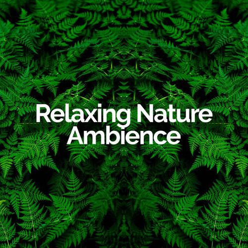 Relaxing Nature Ambience资料,Relaxing Nature Ambience最新歌曲,Relaxing Nature AmbienceMV视频,Relaxing Nature Ambience音乐专辑,Relaxing Nature Ambience好听的歌