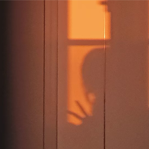 白榆Violeta.资料,白榆Violeta.最新歌曲,白榆Violeta.MV视频,白榆Violeta.音乐专辑,白榆Violeta.好听的歌
