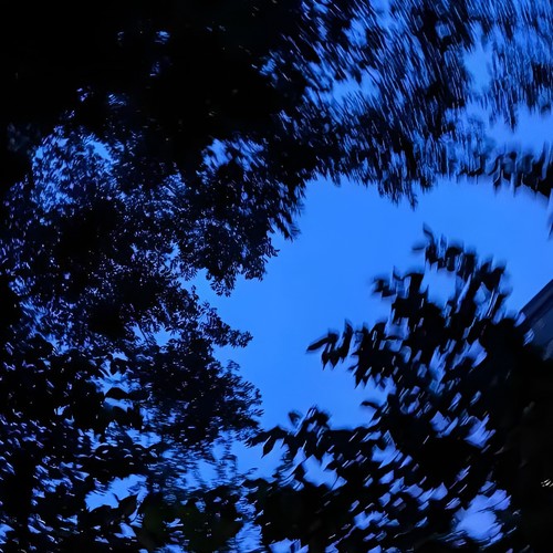 心草资料,心草最新歌曲,心草MV视频,心草音乐专辑,心草好听的歌