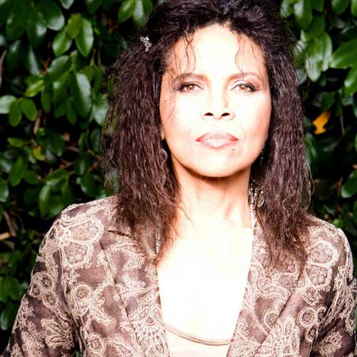 Sharon Robinson资料,Sharon Robinson最新歌曲,Sharon RobinsonMV视频,Sharon Robinson音乐专辑,Sharon Robinson好听的歌