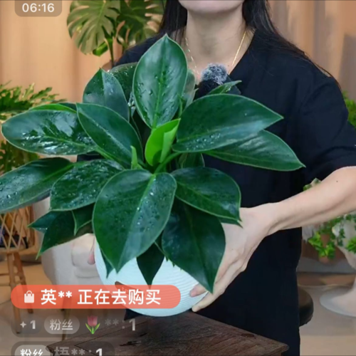 英杰资料,英杰最新歌曲,英杰MV视频,英杰音乐专辑,英杰好听的歌