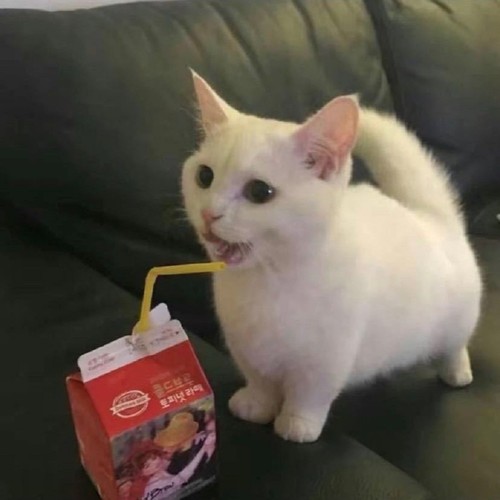 孟庆资料,孟庆最新歌曲,孟庆MV视频,孟庆音乐专辑,孟庆好听的歌