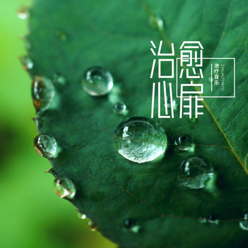 治疗音乐资料,治疗音乐最新歌曲,治疗音乐MV视频,治疗音乐音乐专辑,治疗音乐好听的歌