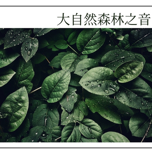 大自然资料,大自然最新歌曲,大自然MV视频,大自然音乐专辑,大自然好听的歌