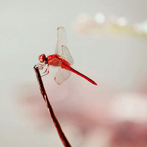 八五邀资料,八五邀最新歌曲,八五邀MV视频,八五邀音乐专辑,八五邀好听的歌