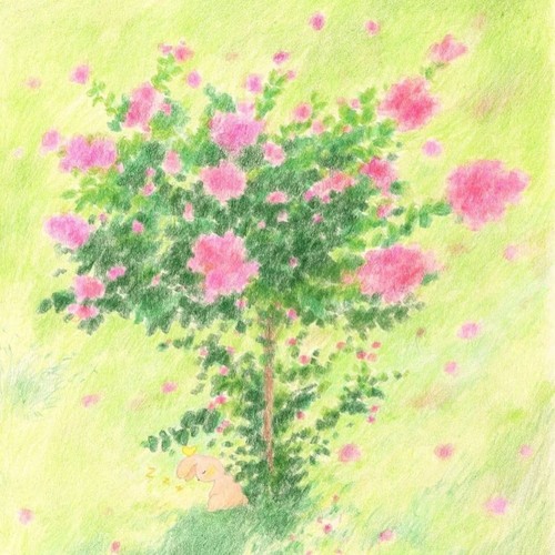 NEW白资料,NEW白最新歌曲,NEW白MV视频,NEW白音乐专辑,NEW白好听的歌