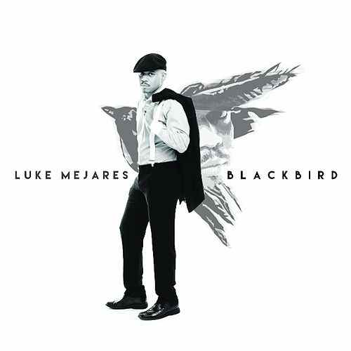 Blackbird资料,Blackbird最新歌曲,BlackbirdMV视频,Blackbird音乐专辑,Blackbird好听的歌