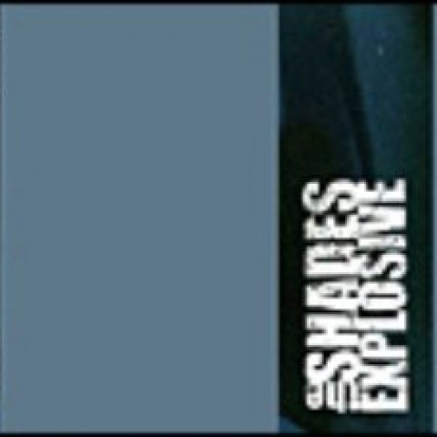 The Shades资料,The Shades最新歌曲,The ShadesMV视频,The Shades音乐专辑,The Shades好听的歌
