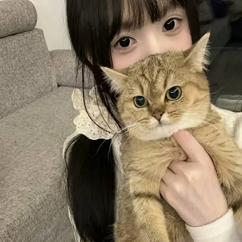 秀美小姐资料,秀美小姐最新歌曲,秀美小姐MV视频,秀美小姐音乐专辑,秀美小姐好听的歌